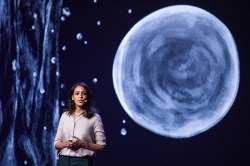 New visions for the world we know: Notes from an early morning of TED Fellows talks