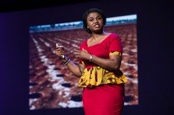 One jump forward: Notes from Session 3 of TEDGlobal: Leapfrog