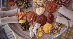 Great shorts: The lineup of short films and video played at TEDGlobal 2017