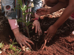 Playlist: 10 TEDWomen talks for Earth Day