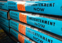 Considering Steven Pinker at TED2018