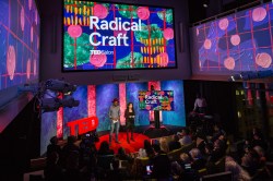 Radical Craft: An electrifying evening of talks from the TED World Theater