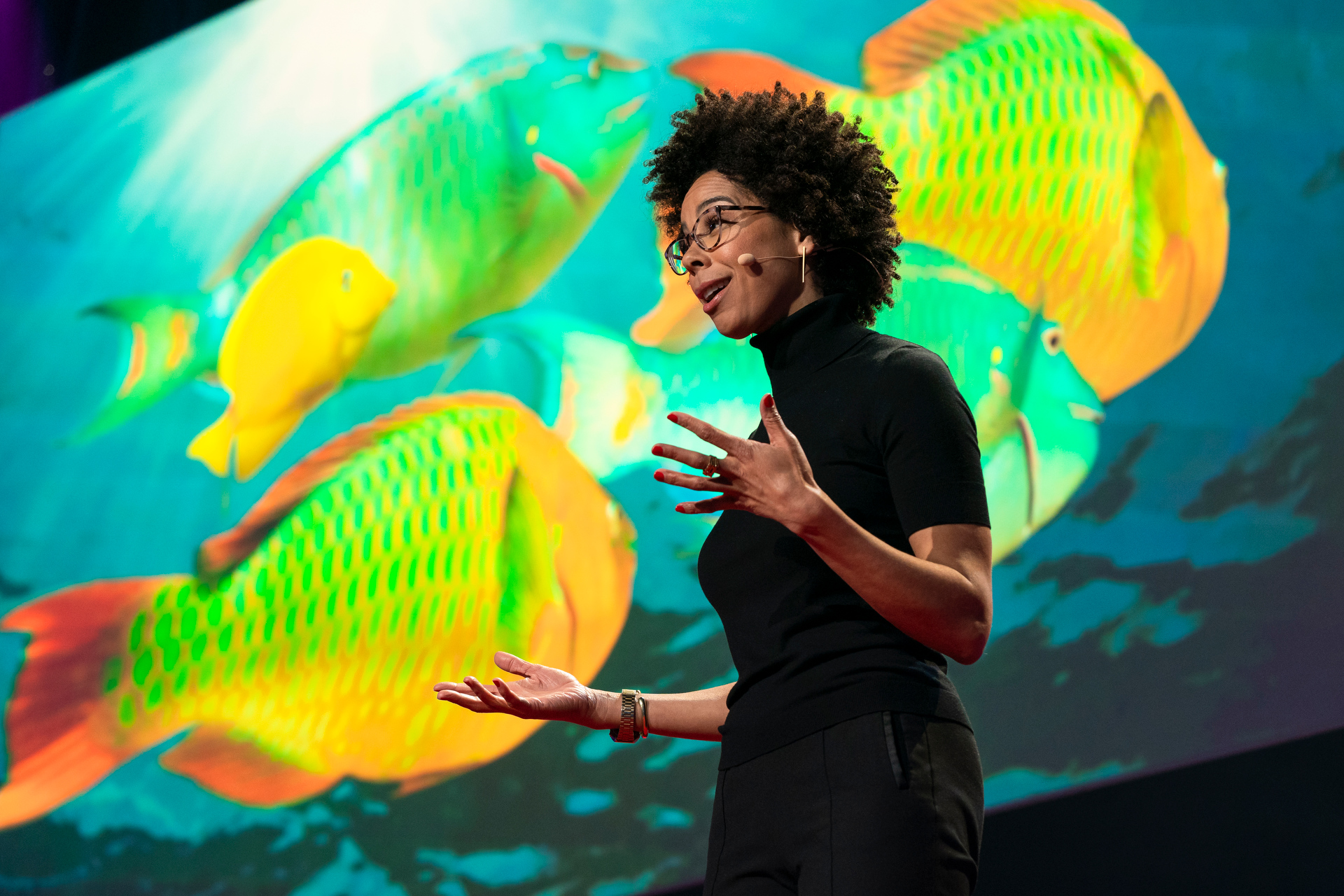 Short talks, big ideas The talks of TED Unplugged at TED2019 TED Blog