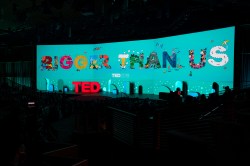 In Case You Missed It: Highlights from TED2019