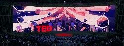 Bigger than us: The art on screen at TED2019
