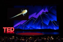 Film beyond borders: The shorts of TEDSummit 2019
