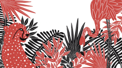 The bold and brilliant conference shorts from TEDWomen 2019