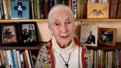 Listening to nature: Notes from Session 1 of TED2020