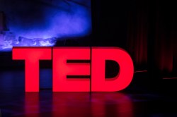 An update on allegations about a TED speaker