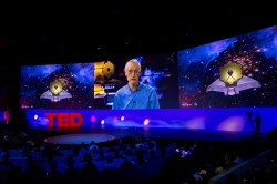 Vision: Notes from Session 5 of TED2022