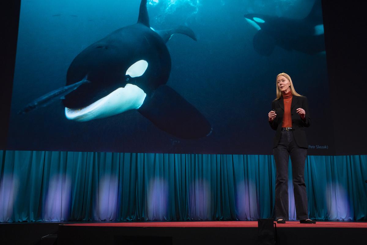 Remembering Karen Bakker | TED Blog