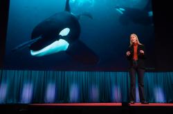 Remembering Karen Bakker