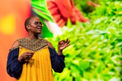 Imagining a pathway to a sustainable future: Notes on Session 5 of TED2023