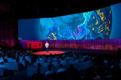 Delightedly and unapologetically nerding out: Notes on Session 8 of TED2023