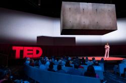 Celebrating the unbridled power of imagination: Notes on Session 11 of TED2023