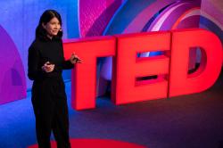 Flipside futures: The talks of TED@BCG 2023