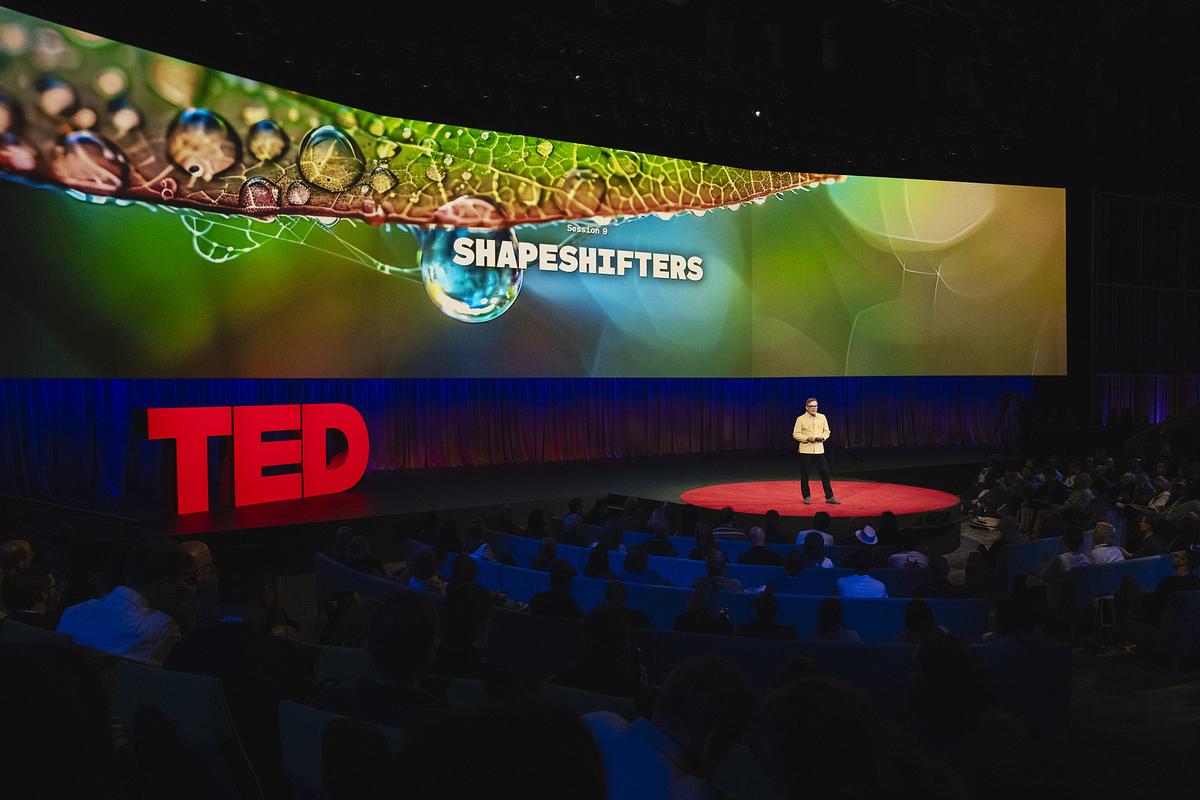 Shapeshifters: Notes on Session 9 of TED2024