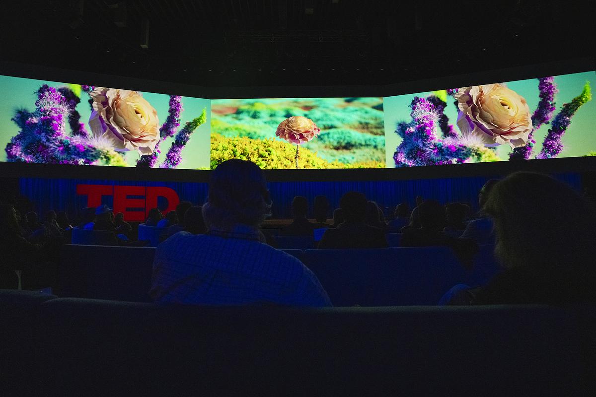 Spectacular new challenges and exciting solutions: TED2024’s eye ...