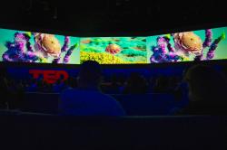 Spectacular new challenges and exciting solutions: The eye-opening interstitials of TED2024