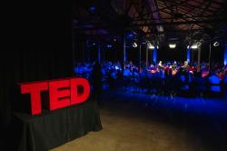 The Next Stage at TEDNext 2024 — in photos